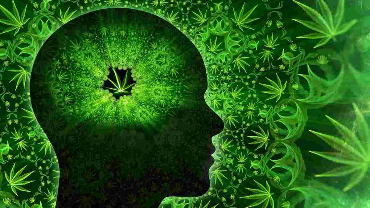 Cannabis and Mental Health – Methods, Features, And More