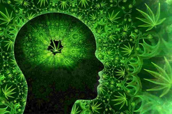 Cannabis and Mental Health