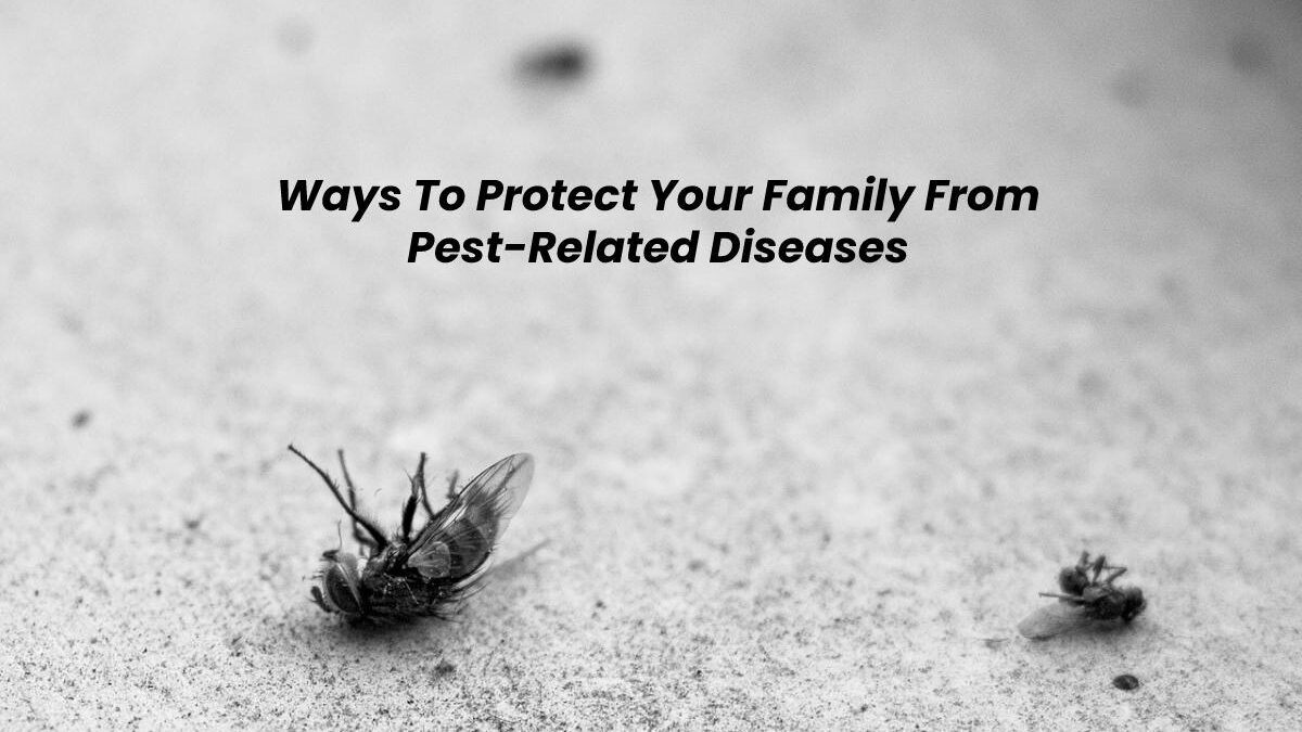 Ways To Protect Your Family From Pest-Related Diseases