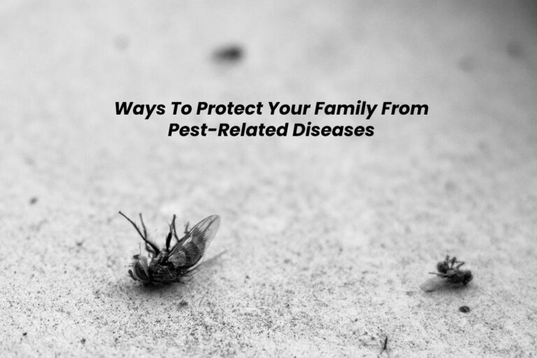 Ways To Protect Your Family From Pest-Related Diseases