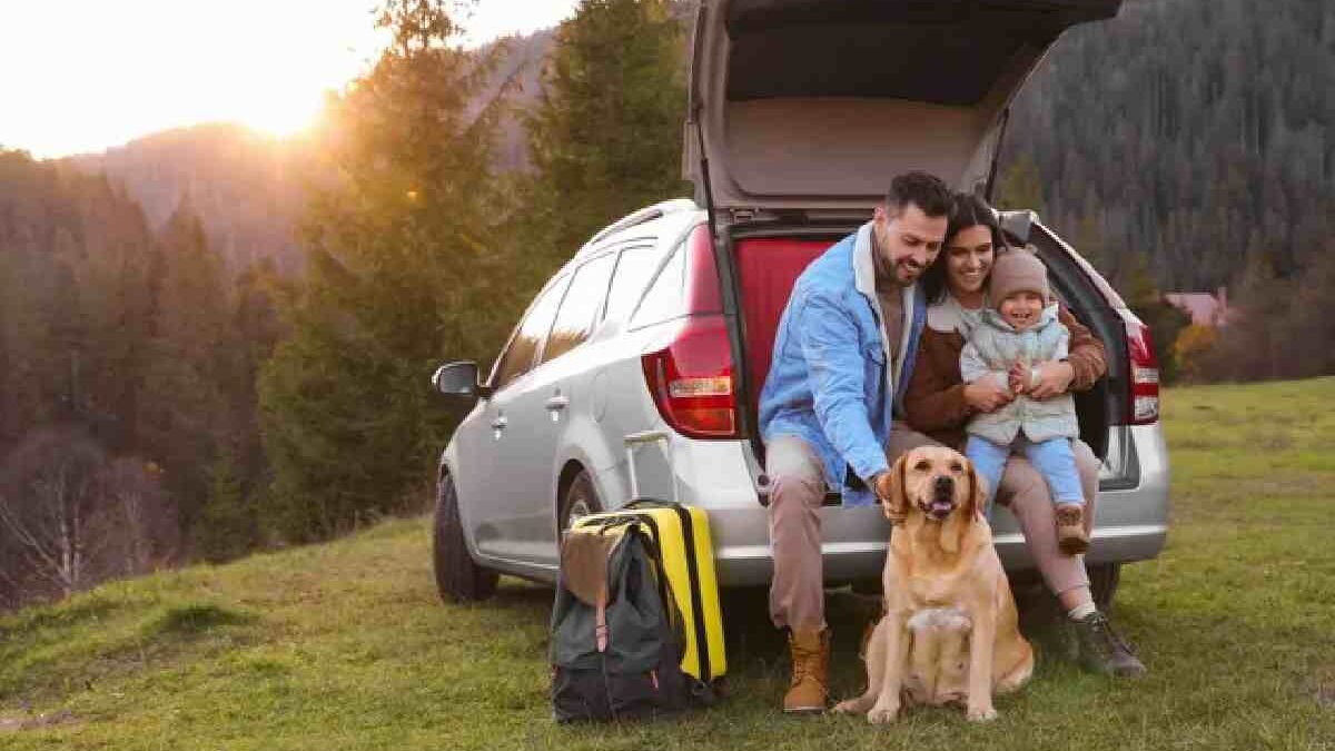 Traveling with a Dog in a Post COVID-19 World