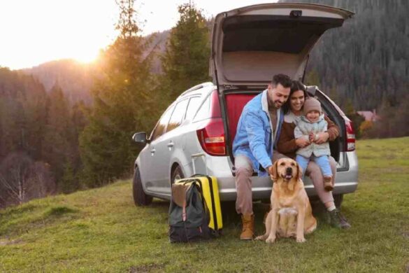 Traveling with a Dog in a Post COVID-19 World