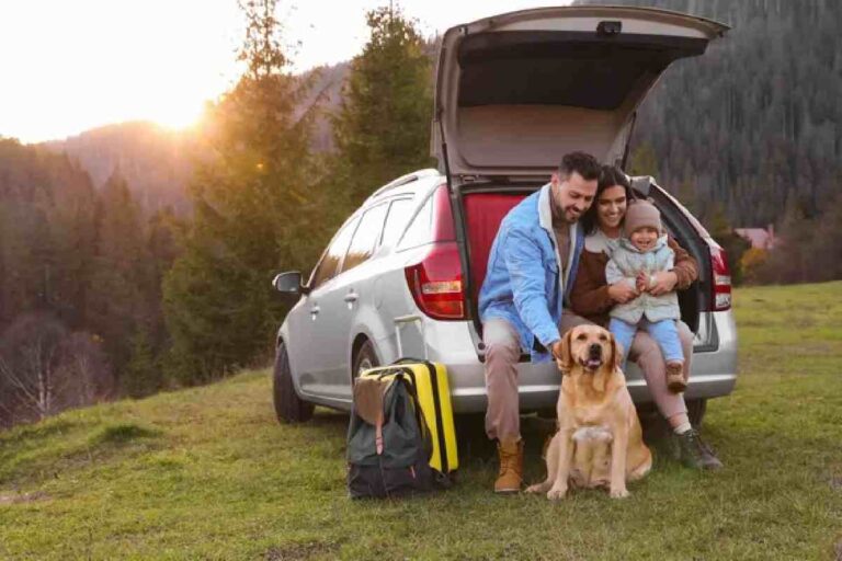 Traveling with a Dog in a Post COVID-19 World