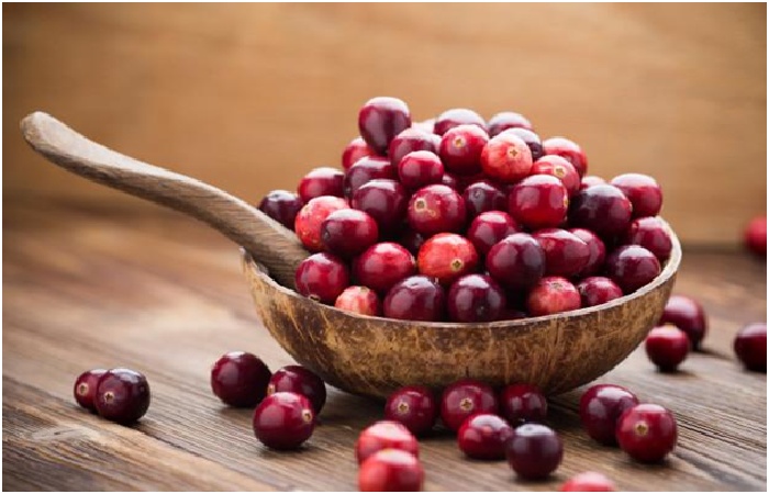 CRANBERRY - Superfood to treat H.pylori naturally