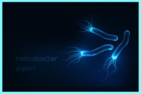 Superfood to treat H.pylori naturally