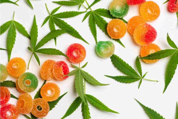 Choose The Right CBD Edibles