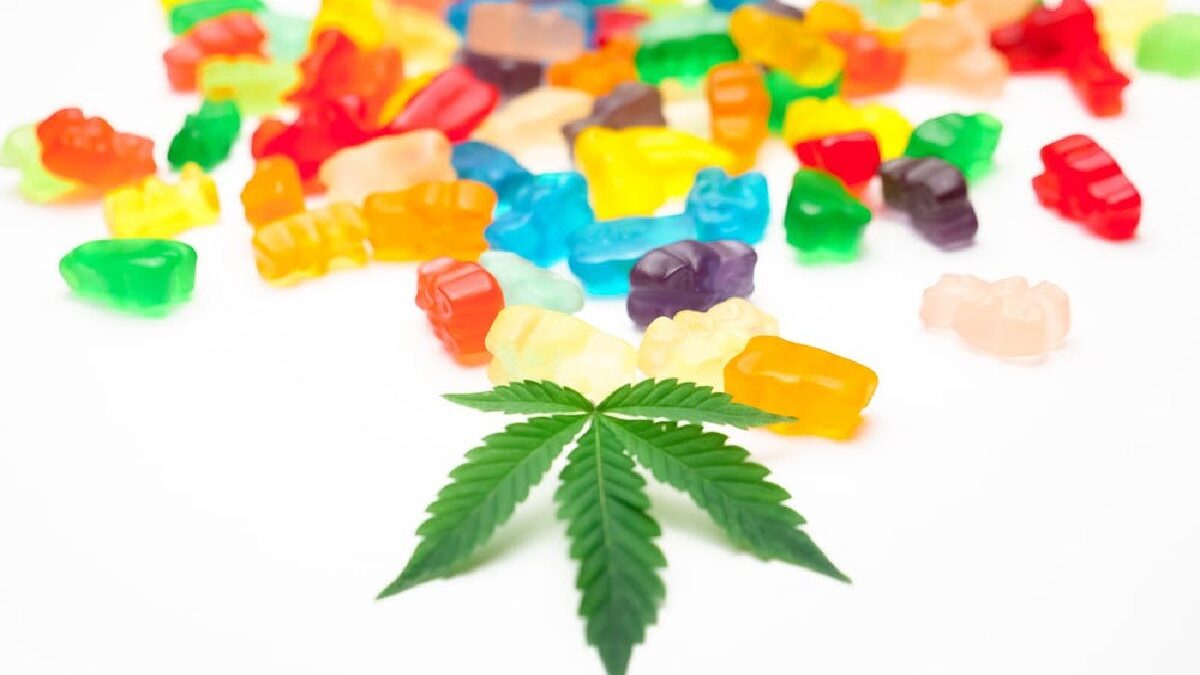 How to Choose the Right CBD Edibles?