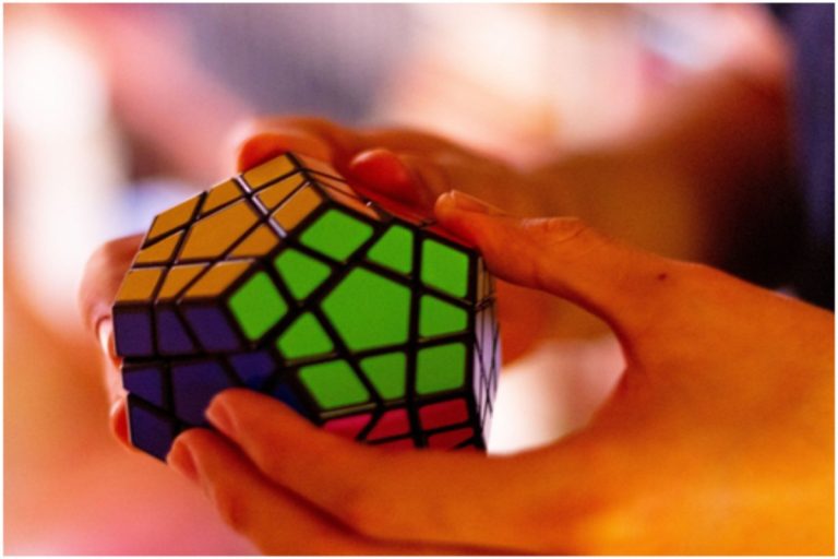 What Factors Influence Intelligence?