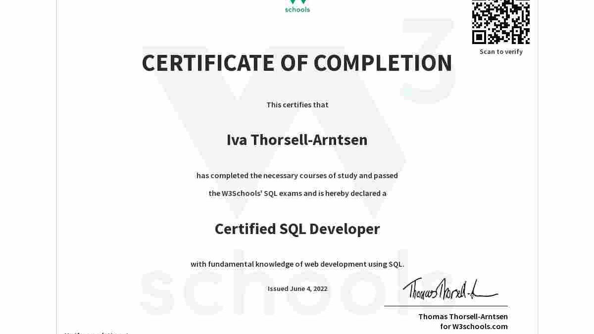 Jobs Roles To Explore After Completing SQL Certification In 2022