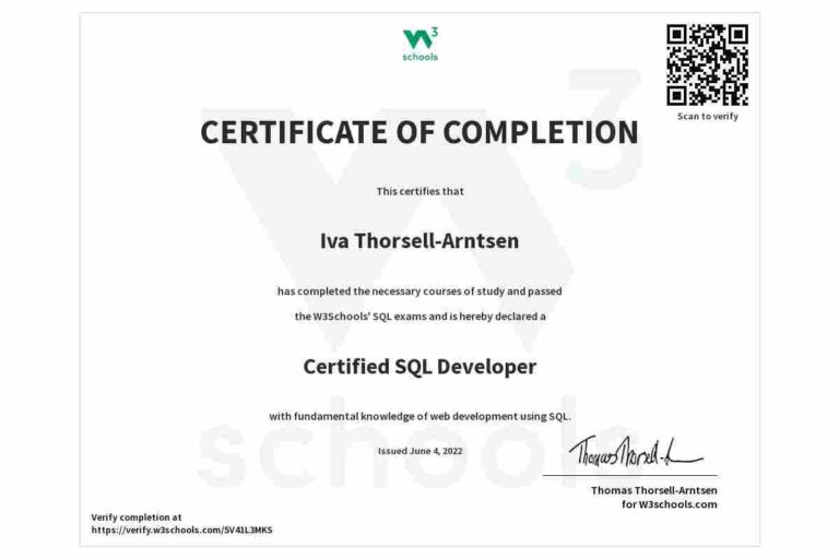 Jobs Roles To Explore After Completing SQL Certification In 2022