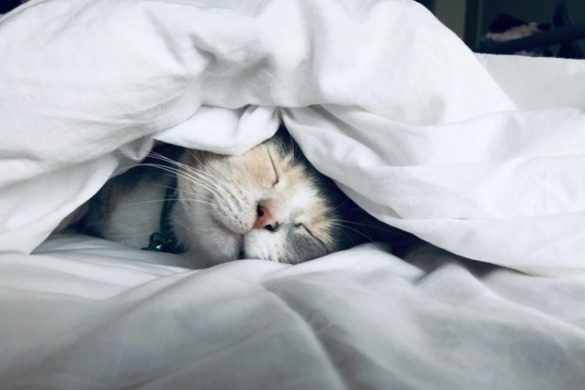 Ways To Get More Rest This Year