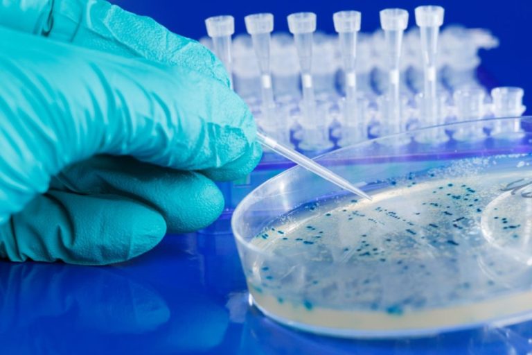 How to Be Successful in Microbiology?