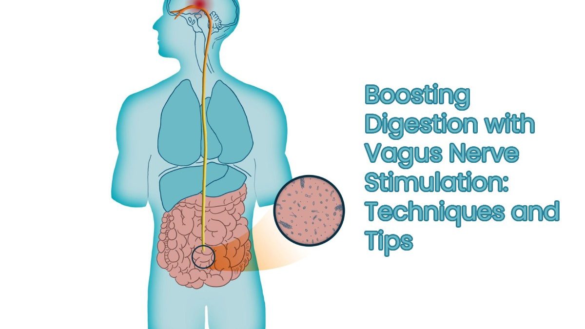 Boosting Digestion with Vagus Nerve Stimulation: Techniques and Tips