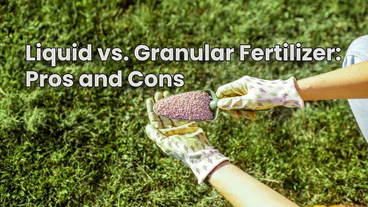 Liquid vs. Granular Fertilizer: Pros and Cons