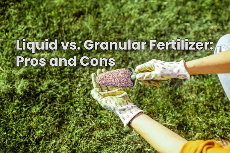 Liquid vs. Granular Fertilizer: Pros and Cons