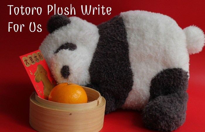 Totoro Plush Write For Us