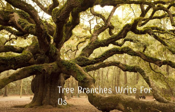 Tree Branches Write For Us