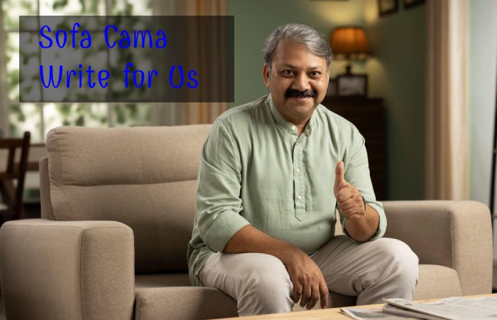 Sofa Cama Write for Us