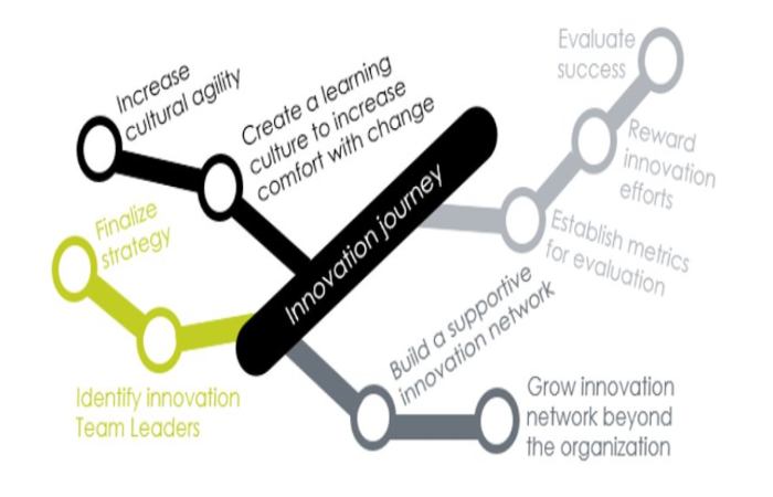 Examples Of Individuals And Organizations That Are On A Journey Of Knowledge And Innovation_