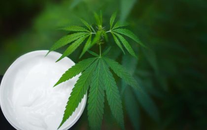 Exploring the Genetics and Characteristics of Sour Tsunami Hemp