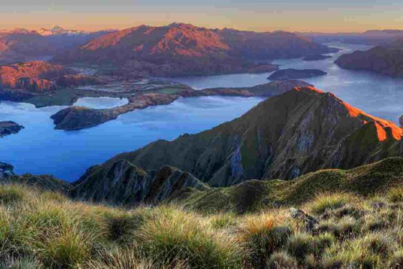 New Zealand Tours