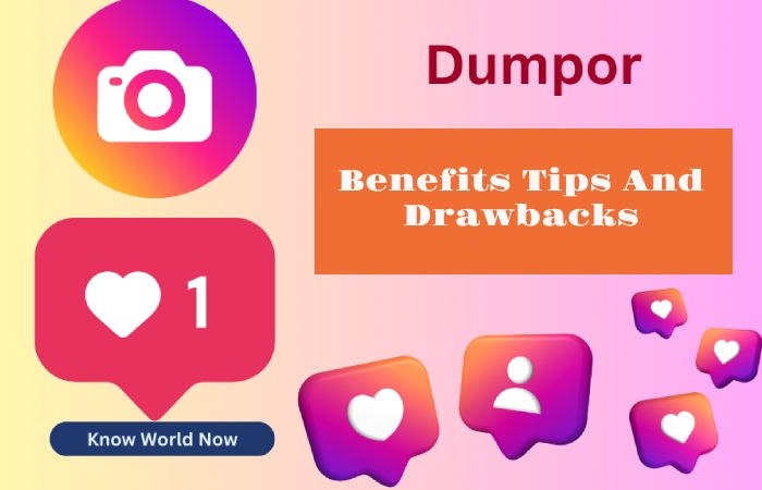 Benefits Tips And Drawbacks Of Dumpor_