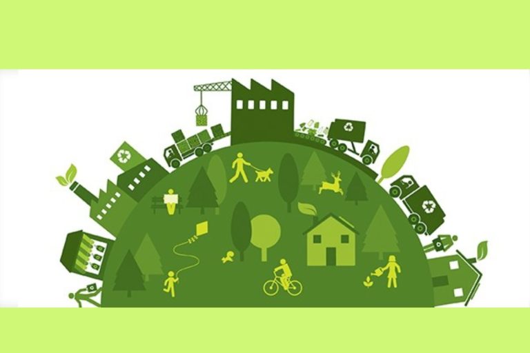 Greening Your Business: A Comprehensive Guide to Eco-Friendly Practices