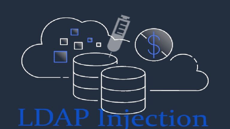 What stays LDAP Injection?
