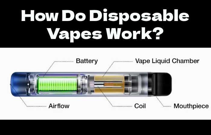 How Do Disposable Vapes Work_