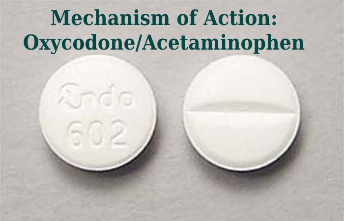 Mechanism of Action_ Oxycodone_Acetaminophen