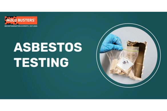 asbestos test
