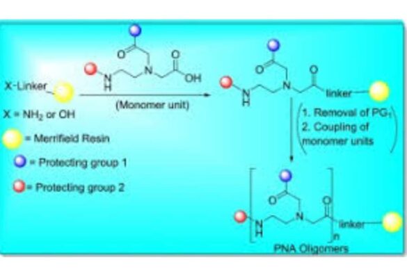 what is the monomer of nucleic acids_