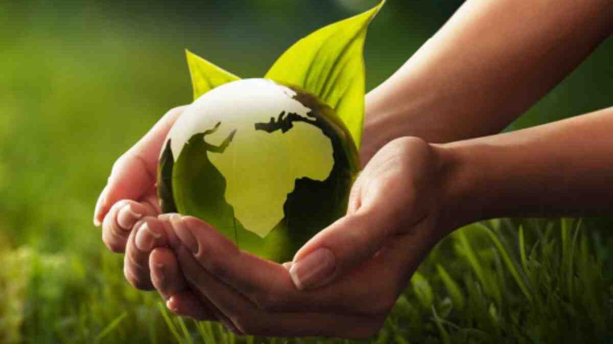 5 Simple Ways to Be More Environmentally – Aware in Everyday Life