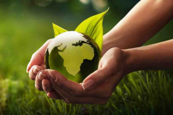 5 simple ways to be more environmentally aware