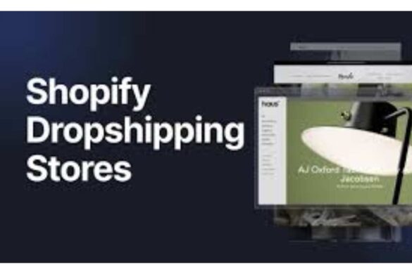 Dropshipping Stores