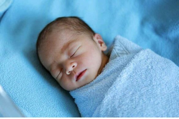 Newborn