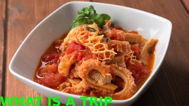 What Is Tripe?