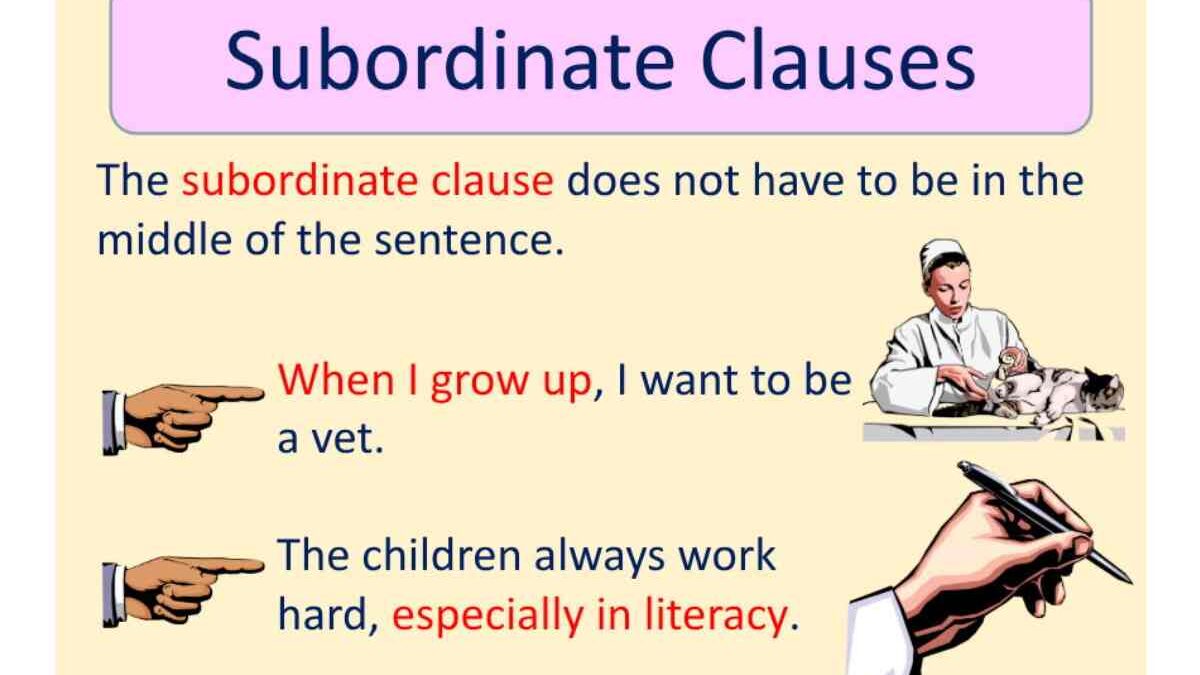 What is a Subordinate Clauses – Definition, And Types