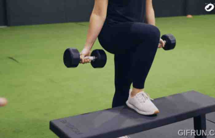 dumbbell bench step-ups