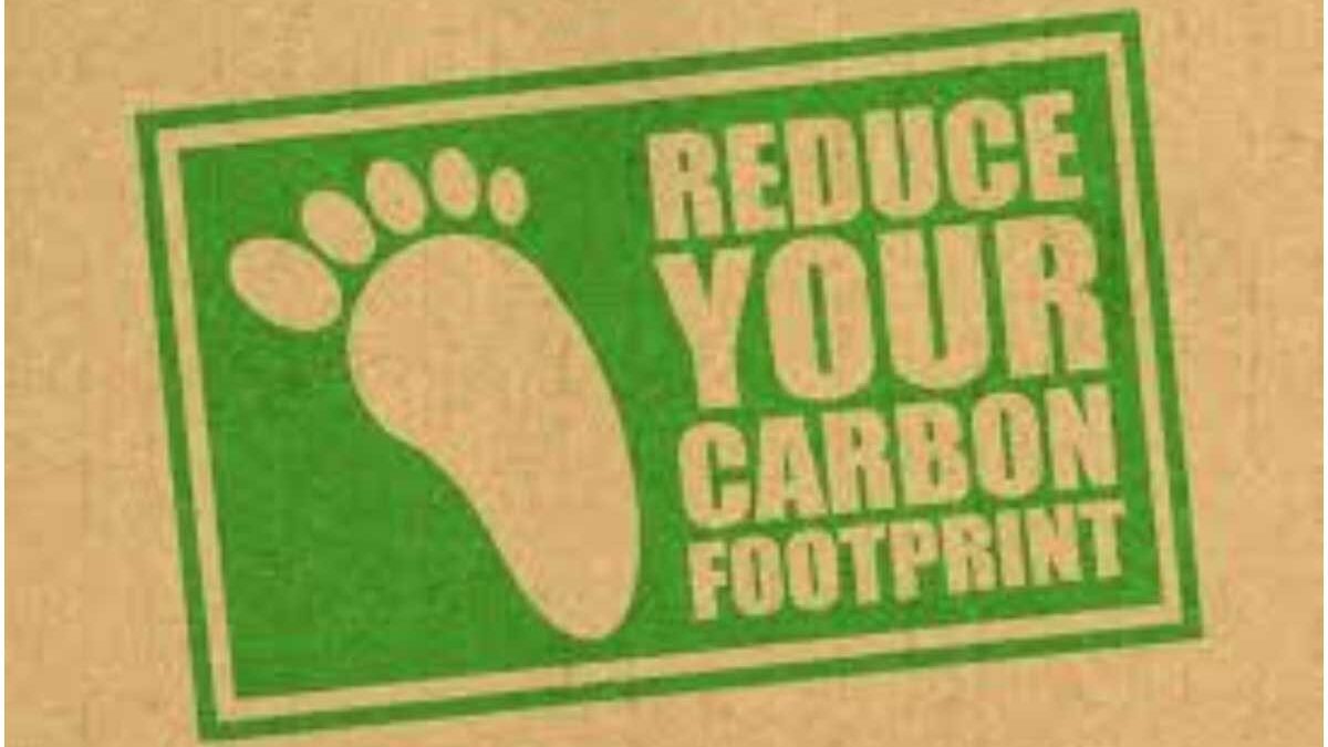 9 Ways to Reduce Your Carbon Footprint – Details