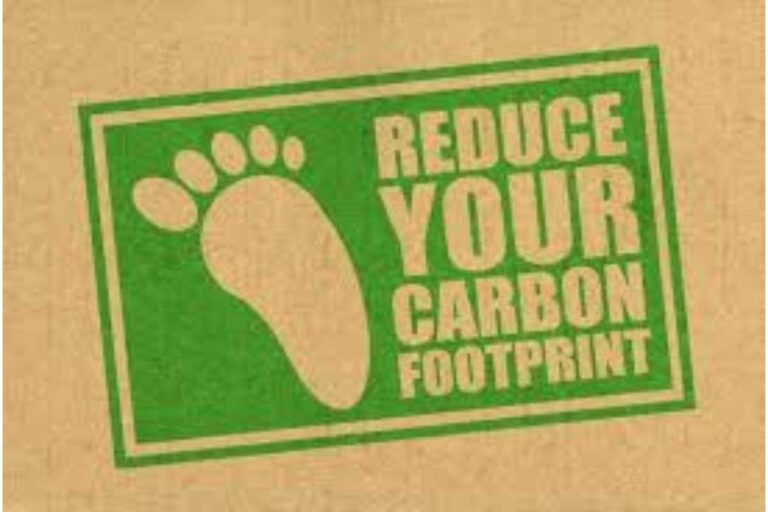 9 Ways to Reduce Your Carbon Footprint – Details