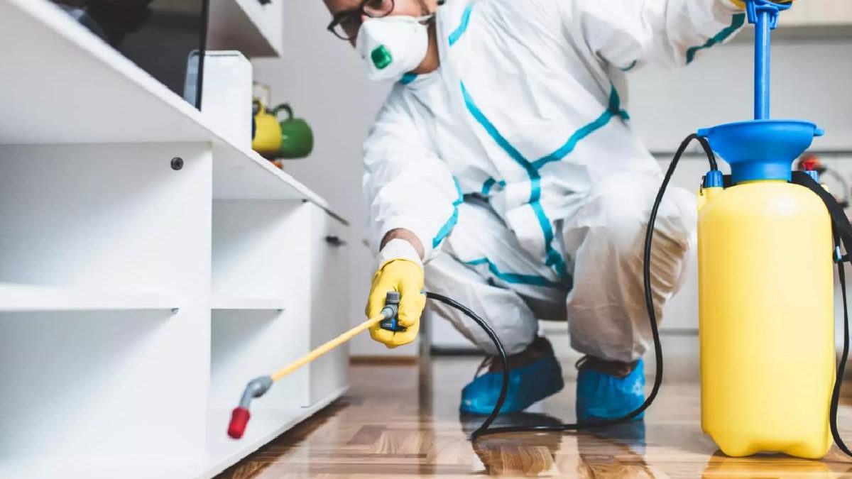 The Role of Emergency Pest Control on the Importance of Immediate Action