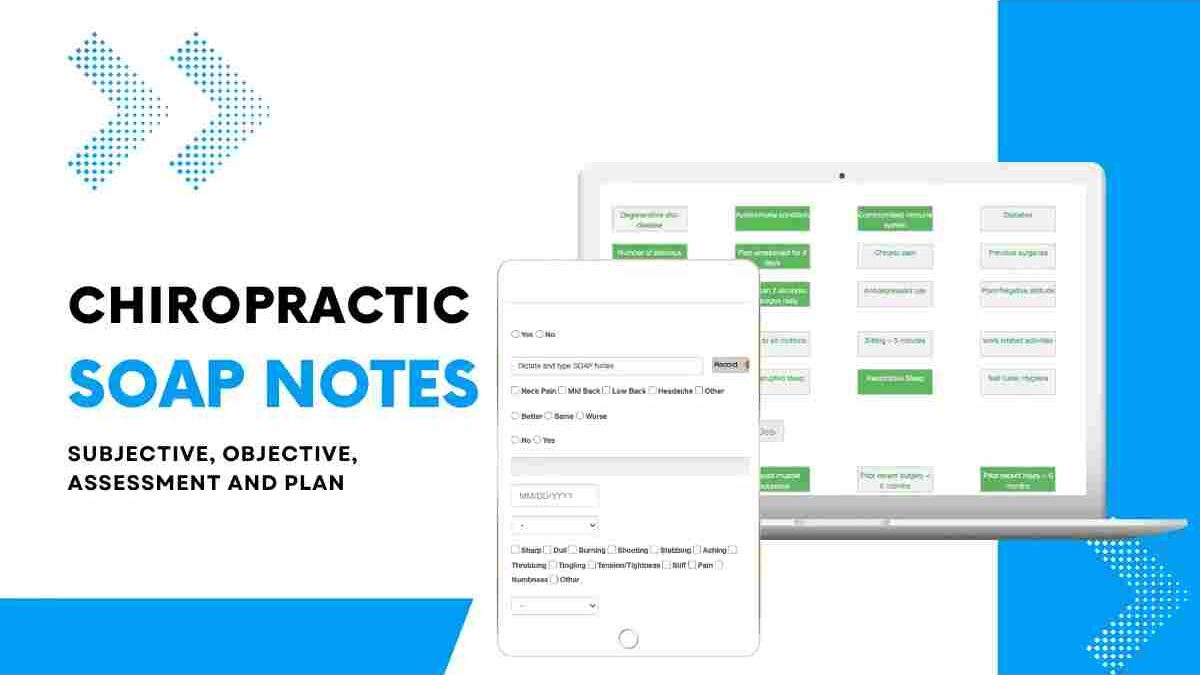 Do All Chiropractic Offices Need Soap Note Software?