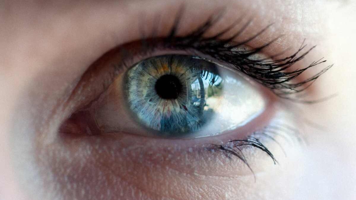 How many Frames the Human Eye Sees per second? Myths and Facts