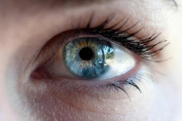 How many Frames the Human Eye Sees per second