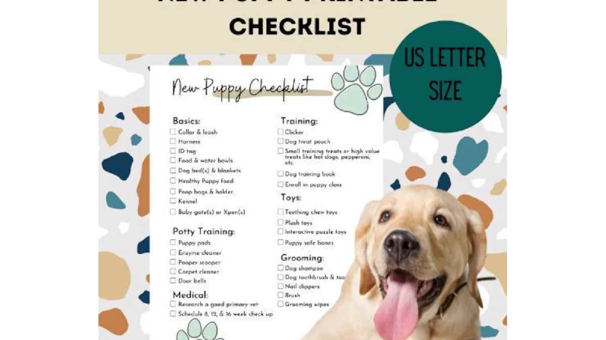 New Dog Checklist: Everything You Need for Your Furry Friend