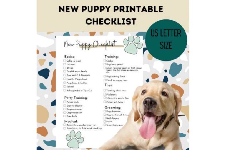 New Dog Checklist: Everything You Need for Your Furry Friend