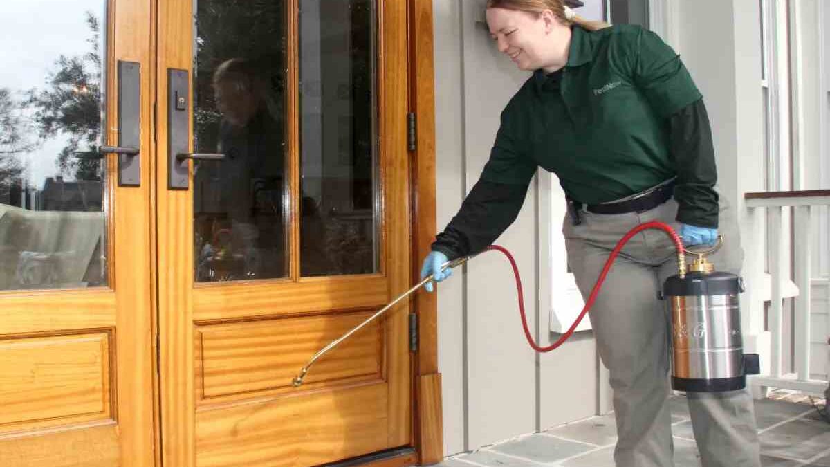 The Role of Emergency Pest Control on the Importance of Immediate Action