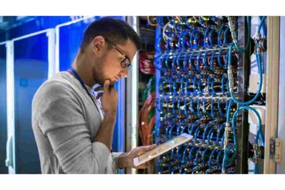 network administrator