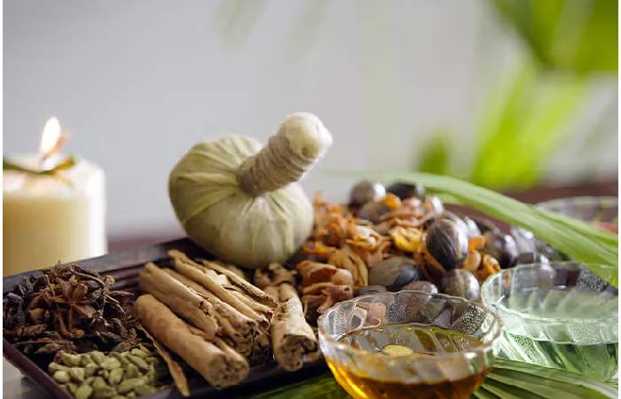 Well Health Organic Ayurveda (1)